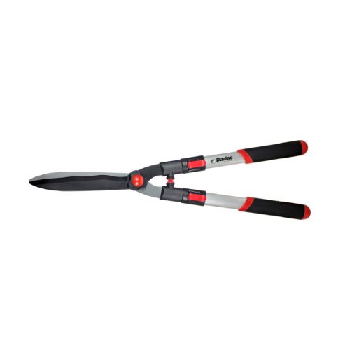 DP810_a