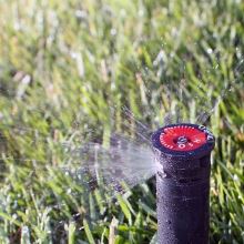 TORO Precision Spray action (2)