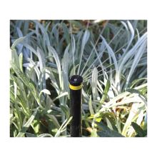 Stream Spray Nozzles (3)