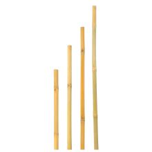 Opora pre rastliny - Bambus thajský - priemer 22-24mm - 180 cm