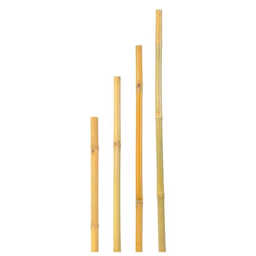bambus 240cm 6677
