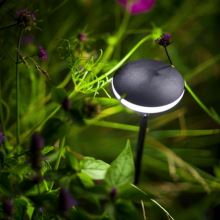 in-lite SWAY Black_use3 (4)