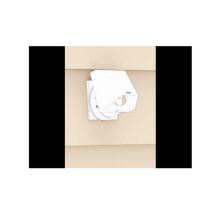 in-lite FIT_det1 (2)