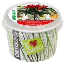 Ortolino - VERDEMAX - red chillie