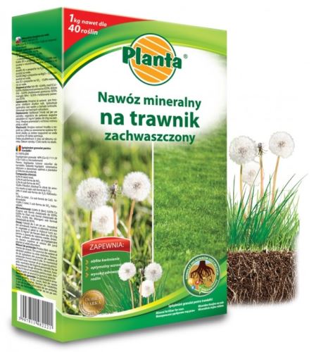 hnojivo planta oslabený trávnik nk1tz