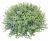 VERDEMAX - Verdecor bush o cm 28
