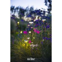 in-lite SWAY Black_use1 (2)