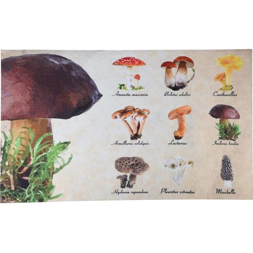 koberček mushroom
