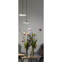 Svietidlo závesné - in-lite DISC PENDANT 100-230V DUO   (2)