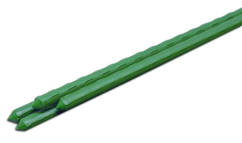 TYP16210