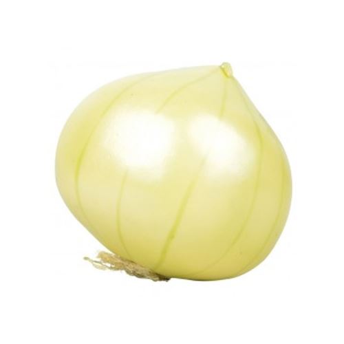 dekorácia  cibuľa